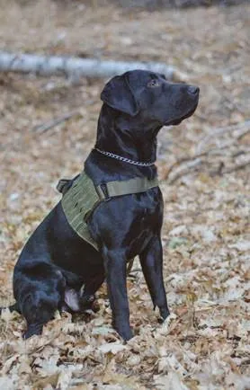 Alpha K9 Mark 1 Tactical Duty Harness w/ Ballistic Panels