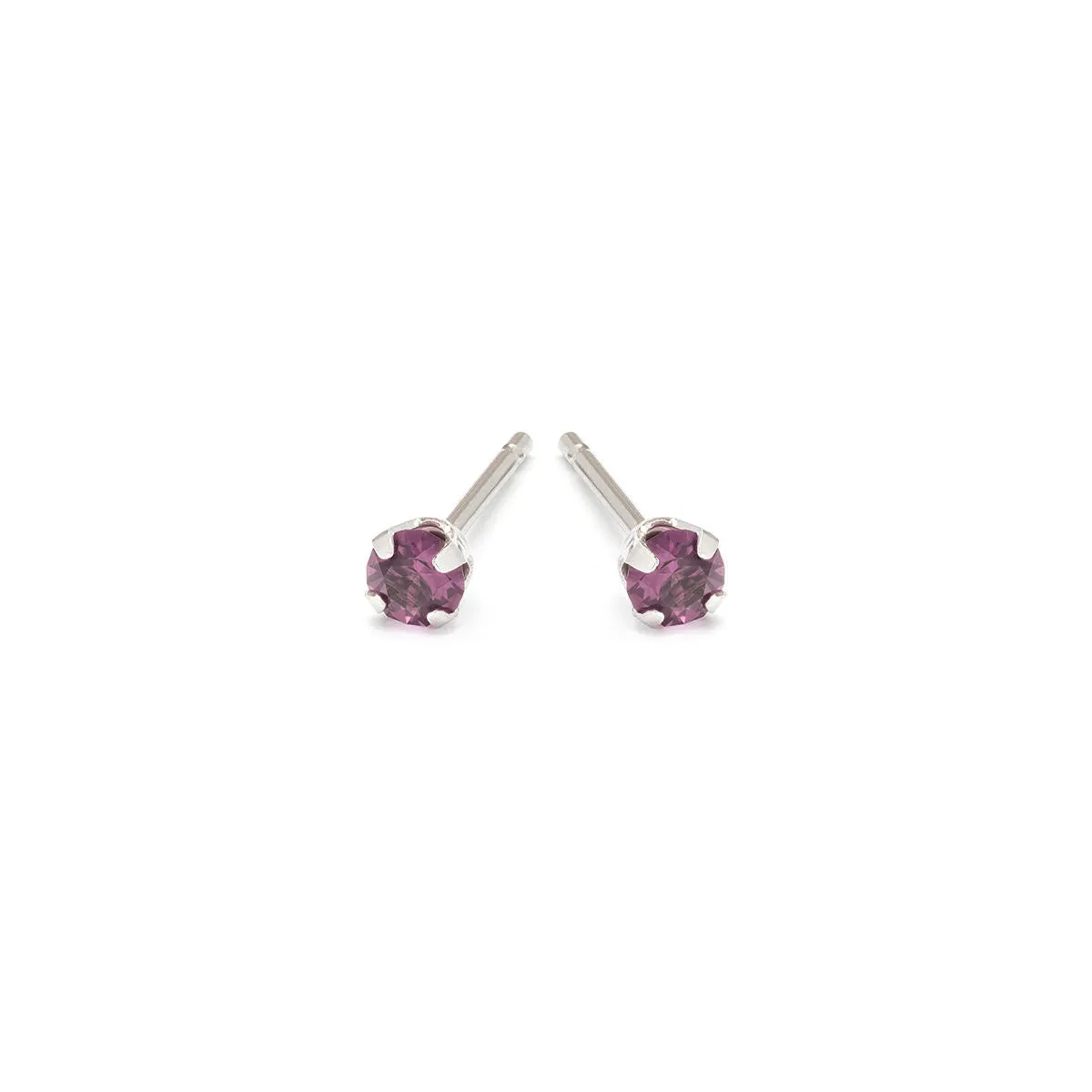 February Birthstone Stainless Steel Stud Earrings