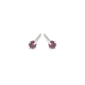 February Birthstone Stainless Steel Stud Earrings