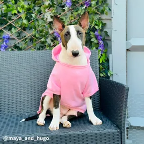 Plain Bull Terrier Hoodie